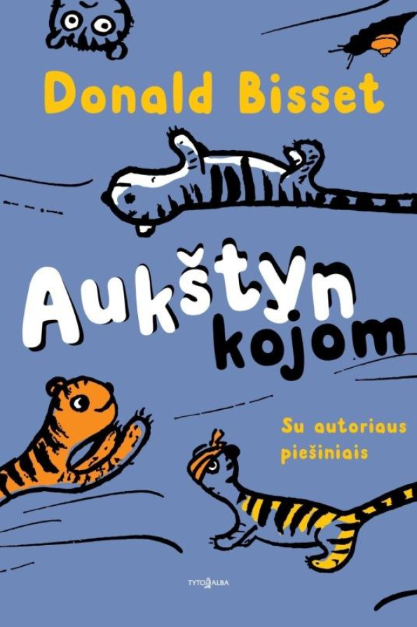 Aukštyn kojom