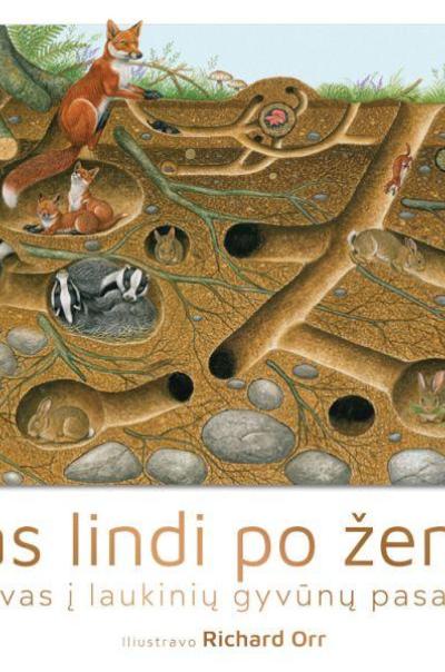 Kas lindi po žeme