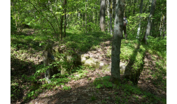 Pirmojo pasaulinio karo Palemono–Narėpų gynybinių įtvirtinimų linijos šiaurinės dalies slėptuvių pirmo komplekso ketvirta aktyvioji slėptuvė