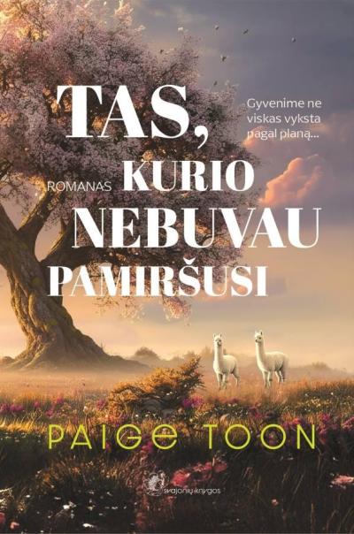 Tas, kurio nebuvau pamiršusi