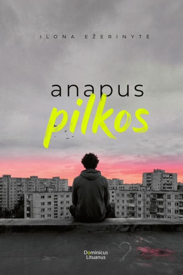 Anapus pilkos