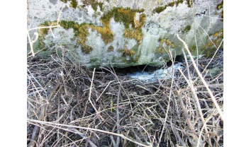 Pirmojo Pasaulinio karo gynybinių įtvirtinimų linijos prie Kauno tvirtovės Domeikavos antra slėptuvė