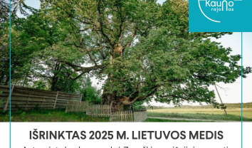 Liepa motinėlė, Zapyškio seniūnija