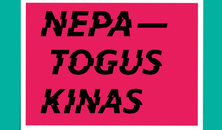 „Nepatogus kinas“ Kauno rajono savivaldybės viešojoje bibliotekoje