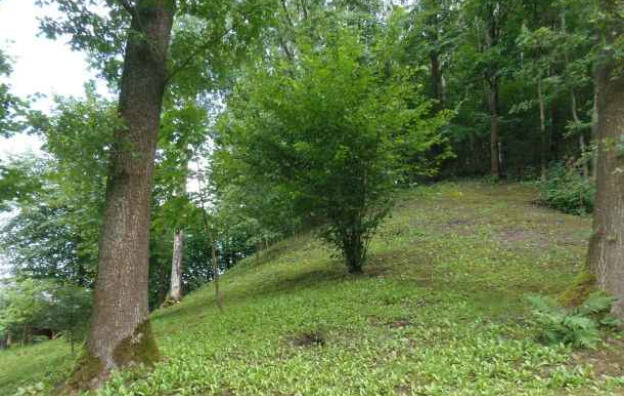 0001_naujasodzio-piliakalnis_1_1732513060-9974c466797a8382c974300561f896ab.jpg