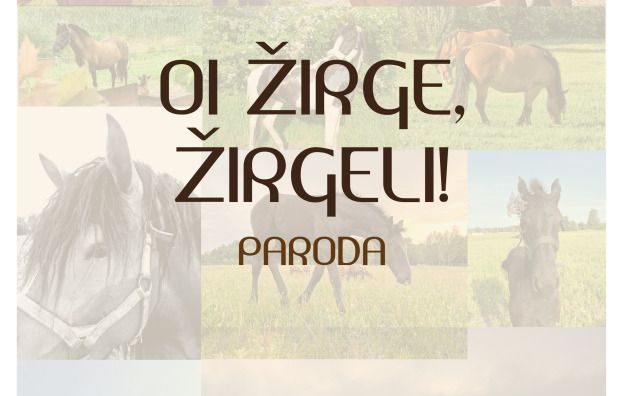 0001_oi-zirge-zirgeli-paroda_1693379512-2fa669ec4c4bfd35bbc320cdcc57ffb7.jpg