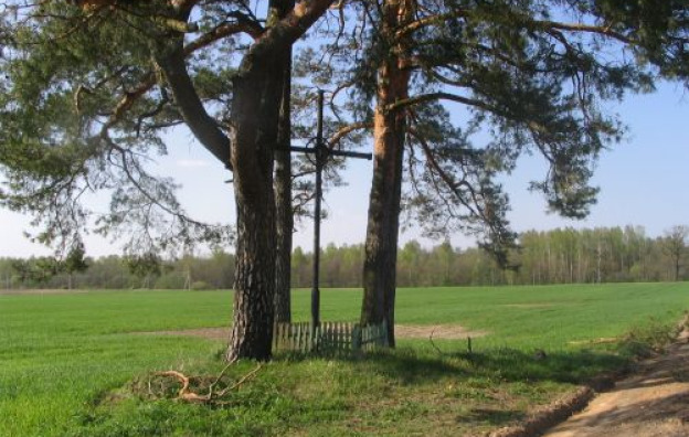 0001_paparciu-kaime_1737383412-edb84141b7997c5f4667d26b0c9ba906.jpg