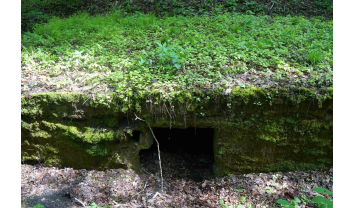 Pirmojo pasaulinio karo Palemono–Narėpų gynybinių įtvirtinimų linijos šiaurinės dalies slėptuvių antro komplekso pirma pasyvioji slėptuvė