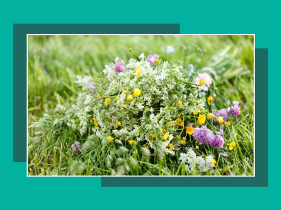 0002_vp-zoline-2026_1786000538-effbda30f1ed8065e3e3b71326a29fdc.png