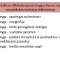 0004_skaidre3_1667822865-fb7e97c83f344822c49113fc75985362.JPG