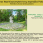 0009_lietuvosnepriklausomybeskovuatspindziaipakauneje1024_8_1666604171-17fe6bf27fe5d81d79260b72f000e093.jpg