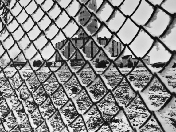 0014_1787319263_1673356827-da5344e5746a4e56b3a045f16e435d32.jpg