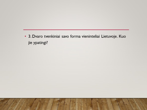 0046_skaidre45_1701955295-13d3ee8f0af00eee304bf2df8a8f7e21.JPG